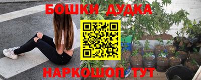 стаф Гусь-Хрустальный