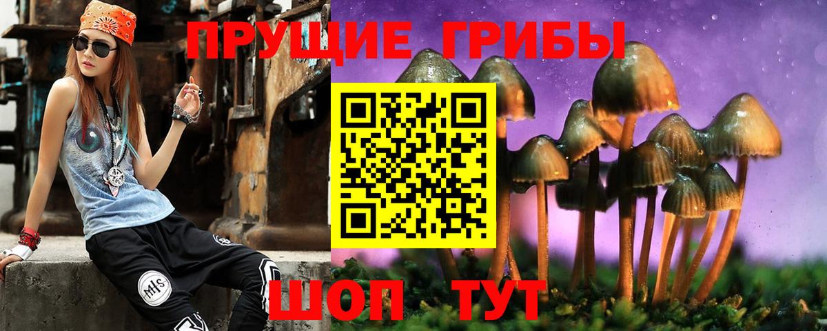 Галлюциногенные грибы MAGIC MUSHROOMS  Вход с VPN  Ростов-на-Дону  Псилоцибиновые грибы GOLDEN TEACHER 