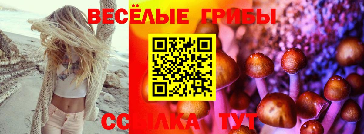 наркота  Псилоцибиновые грибы Cubensis  Ростов-на-Дону  Псилоцибиновые грибы мицелий 