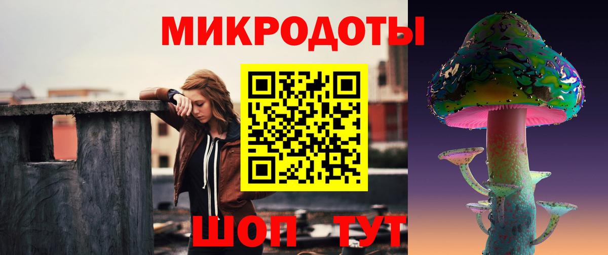 Псилоцибиновые грибы Psilocybine cubensis Ростов-на-Дону